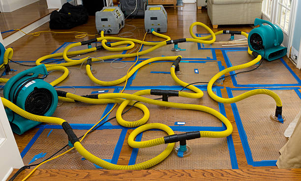 Professional Sewage Cleanup technician working in Rockdale, TX